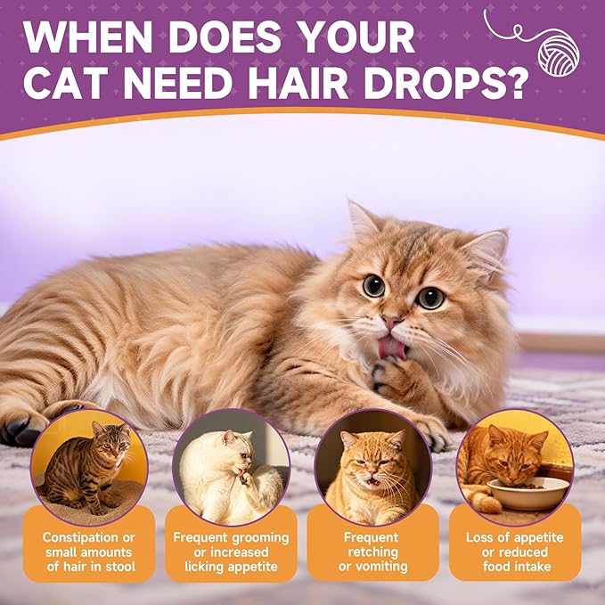 Cat Hairball Remedy - 2 Pack Hairball Treatment for Cats - Digestive Support & Healthy Skin Coat, Furball Control with Psyllium Husk, Flaxseed, Omega-3, Enzyme, Vitamin - Chicken Flavor