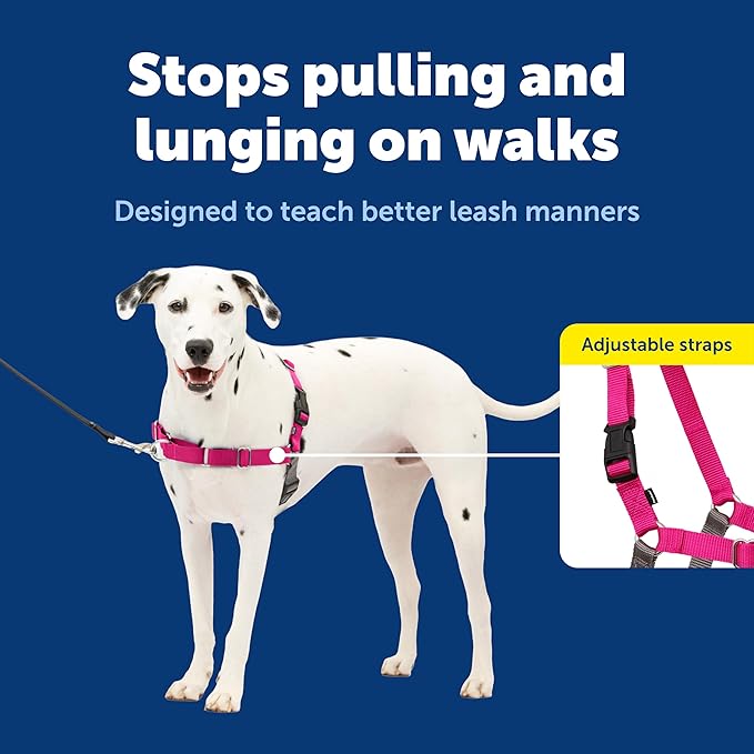 PetSafe Easy Walk No-Pull Dog Harness - The Ultimate Harness to Help Stop Pulling - Take Control & Teach Better Leash Manners - Helps Prevent Pets Pulling on Walks, Medium/Large, Raspberry/Gray