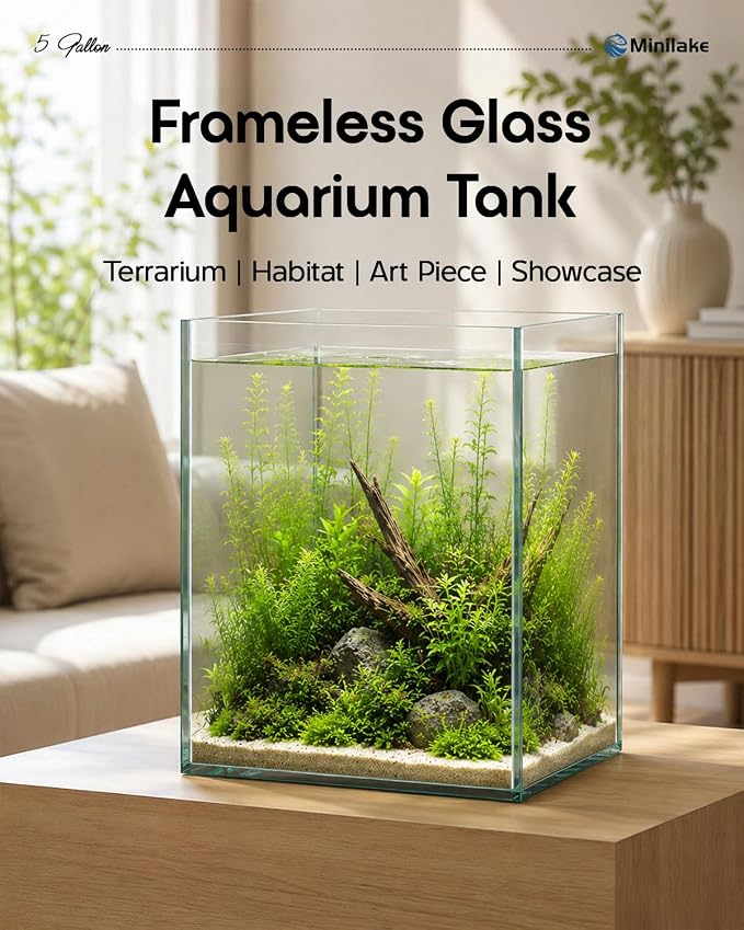 5 Gallon Vertical Rimless Fish Tank, Ultra-Clear Glass Aquarium | Leak-Proof Fish Bowl for Betta Fish, Shrimp, Snails & Planted Aquariums, Easy Setup and Maintenance, Clear