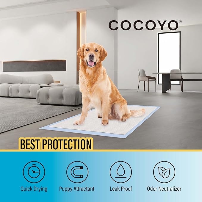 COCOYO Best Value Training Pads, 30"X36" , XXL - 80 Count,White