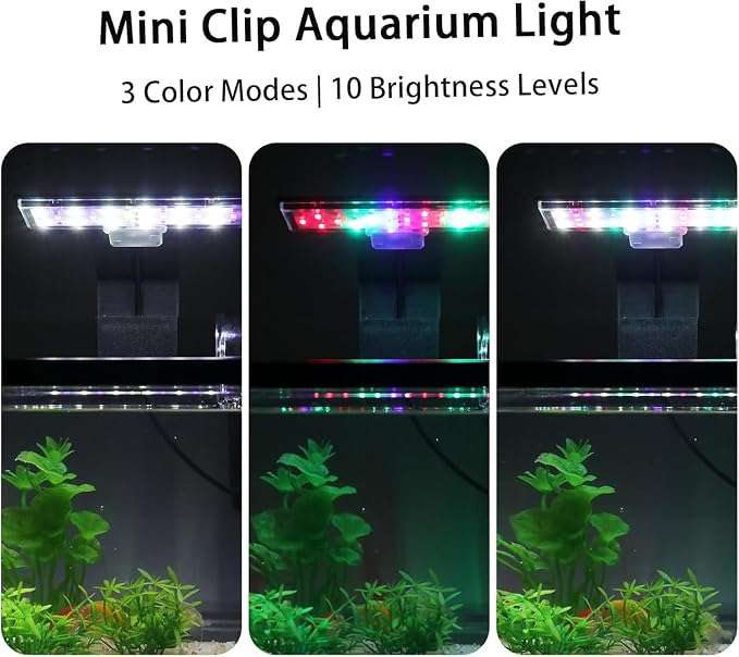 1.7 Gallon Aquarium Starter Kit Complete Small Fish Tank with LED Light & Quiet Filter for Betta, Mini Desktop Acrylic Tank, Ideal for Shrimp Guppy Jellyfish Goldfish, Office, Home, or Gift