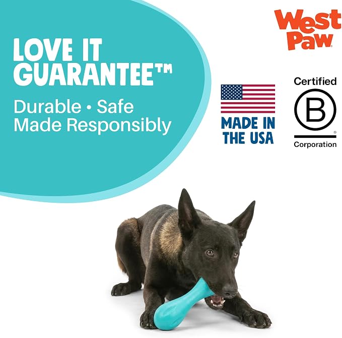WEST PAW Zogoflex Hurley Dog Bone Chew Toy – Floatable Pet Toys for Aggressive Chewers, Catch, Fetch – Bright-Colored Bones for Dogs – Recyclable, Dishwasher-Safe, Non-Toxic, X-Small, Teal
