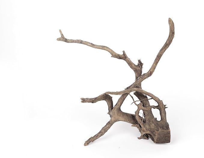 Spider Wood Natural Aquarium Decor Branches 4pcs 12-16in Aquascape | Slim branchy shapes; betta and aquascape tank