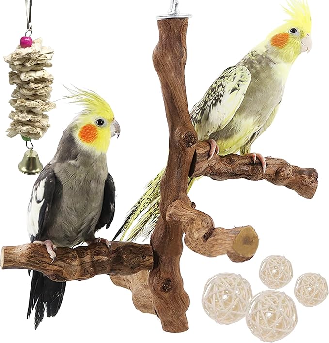6 PCS Bird Perch Stand Natural Grapevine with Chewing Toys for Parrots, Parakeets, Cockatiels, Conures, Macaws, Love Birds (Style 8)