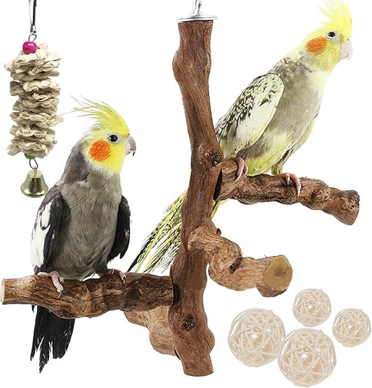 6 PCS Bird Perch Stand Natural Grapevine with Chewing Toys for Parrots, Parakeets, Cockatiels, Conures, Macaws, Love Birds (Style 8)