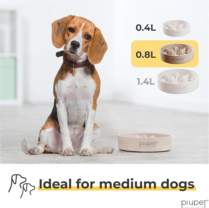 PiuPet Slow Feeder Dog Bowl (27 fl oz)