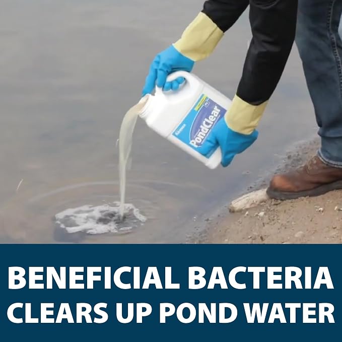 Airmax PondClear Liquid Bacteria Water Clarifier for Ponds & Lakes, 1 Gal | Natural bacteria treatment helps clear water, remove nutrients and noxious odor, and is safe for fish, pets, and plants