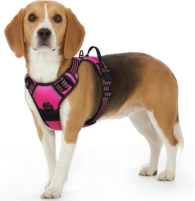 Eagloo Dog Harness Small Sized Dog, No Pull Service Vest with Reflective Strips and Control Handle, Adjustable and Comfortable for Walking, No Choke Pet Harness with 2 Metal Rings, Rose Red, S