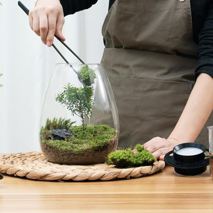 Desktop Glass Plant Terrarium with Grow Light for Carnivorous Plants & Moss | H 7.8 x D 6.7 in; Timer Auto On/Off; For Succulents, Mini Plants and Betta Tanks; Indoor Decor for Home or Office; Gifts