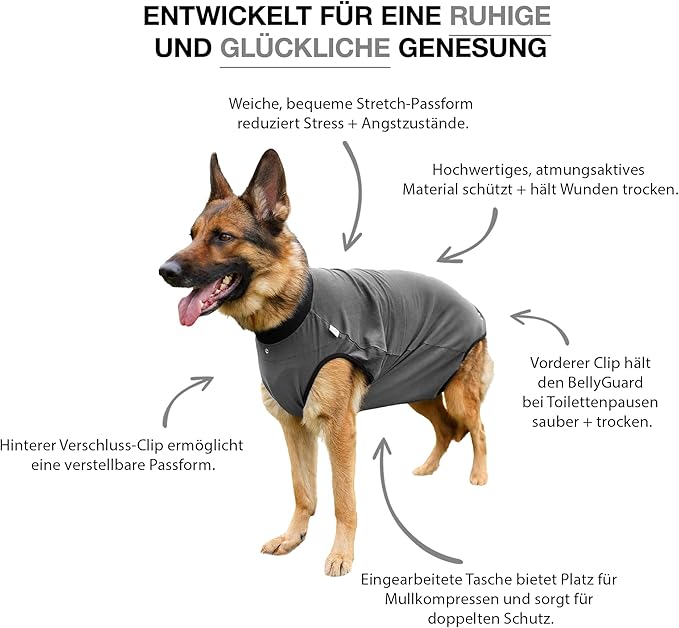 BellyGuard Dog Surgery Recovery Suit, Dog Onesie for Post-Op Care, Recovery Apparel for Female and Male, Surgical Body Cover for Canine Healing Support