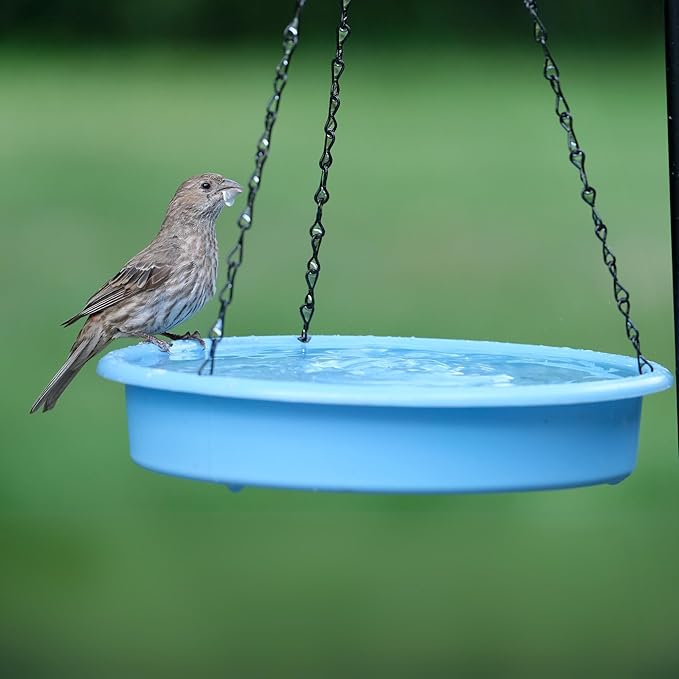 Combo Café 2-in-1 Recycled Plastic Bird Feeder and Bird Bath for Wild Birds and Outdoor Décor, Hanging Bird Bath and Tray Feeder with Chains Included, 1.5 Quart Capacity, Blue