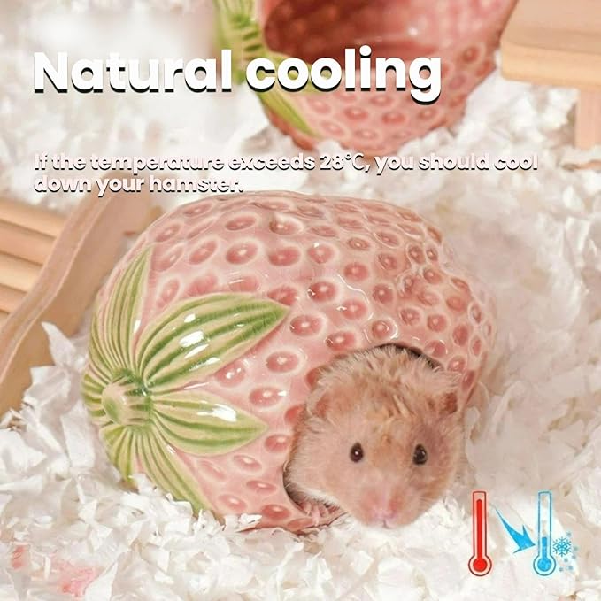 Strawberry Ceramic Hamster Hideout, Summer Cool Cave for Small Pets, Chew Resistant & Easy Clean Hamster House, Decorative Hideaway for Syrian Dwarf Hamsters, Mice (Big Strawberry - Red)