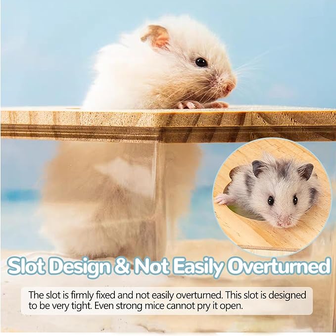 Hamster Sand Bath Box, Transparent Small Animal Bathroom & Digging Container with Ladder and Bowl for Hamsters Mice Lemming Gerbils or Other Small Pets