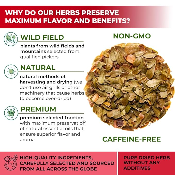 4 oz. Uva Ursi Leaf Uva Ursi Tea Herbal (Arctostaphylos Uva-Ursi) - 113g Uva-Ursi Herb Tea Arctostaphylos Uva-Ursi