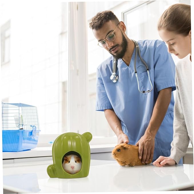 Ceramic Hamster Hideout Cactus-Shaped Cooling Nest for Small Pets Comfortable for Hamsters and Other Small Animals Decorative and Fun