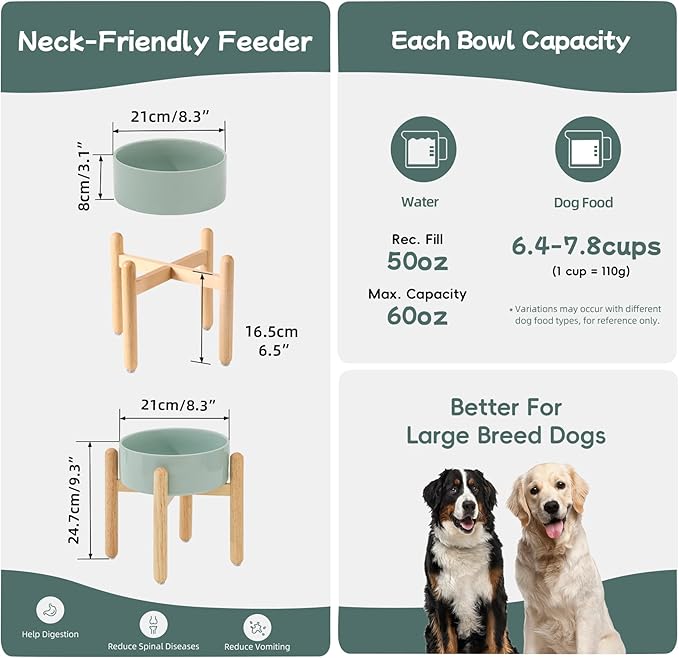 Havniva Ceramic 8.2inch Raised Dog Bowl with Stand for Large - Breed Dogs, Pet Food and Water Feeder(Single Bowl with Stand - Light Green)