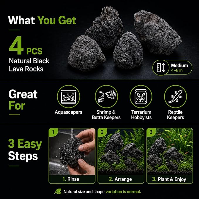 4–8 Inches Natural Black Lava Rocks, 4 PCS Medium Aquarium Stones for Aquascaping, Fish Tank Hardscape, Planted Tanks, Terrariums & Reptile Decor (Medium 4–8 in)