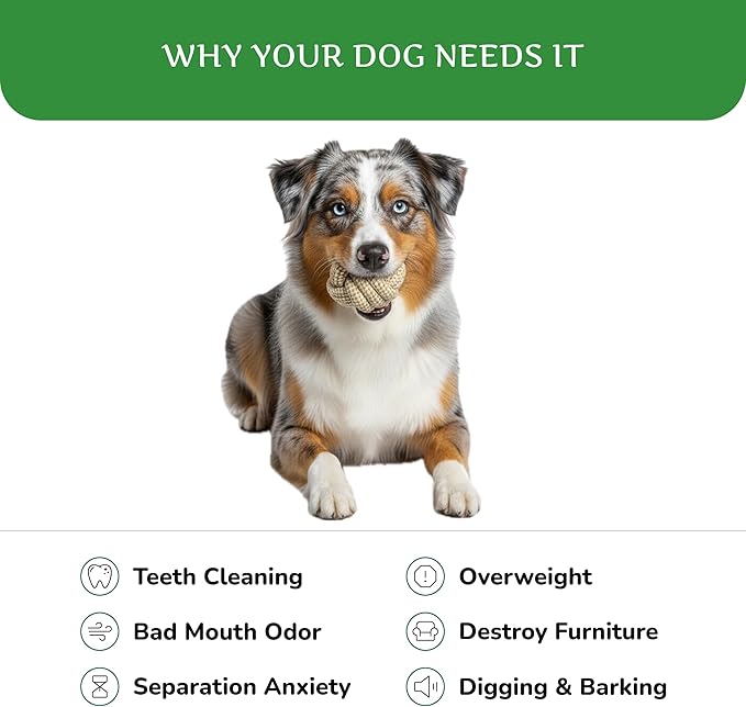 Natural Hemp Dog Rope Toy, Durable Chew and Tug Toy for Medium and Large Dogs, Biodegradable Dental Cleaning Pet Toy (Ball)