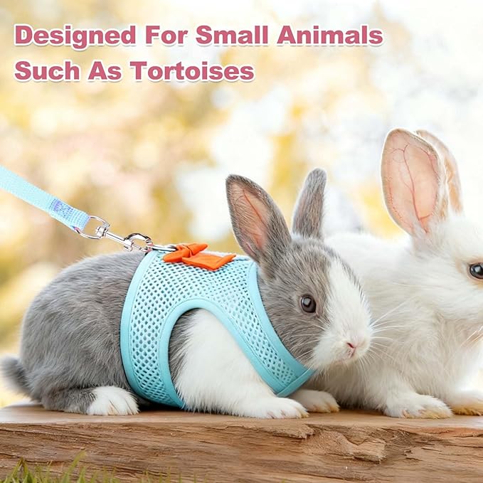 Rabbit Harness and Leash, Small Pet Cute Vest Harness Leash Soft Adjustable Buckle Breathable Mesh (M, Black) for Bunny Kitten Small Pig Puppies Camping Hiking Training