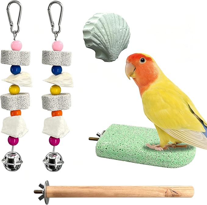 Chewing Birds Toy, 5 Pcs Natural Parrot Cuttlebone Set – Includes Cuttlebone, Lava Block, Grinding Stone & Wooden Perch for Beak Trimming & Calcium – for Small and Medium Parakeets, Cockatiels