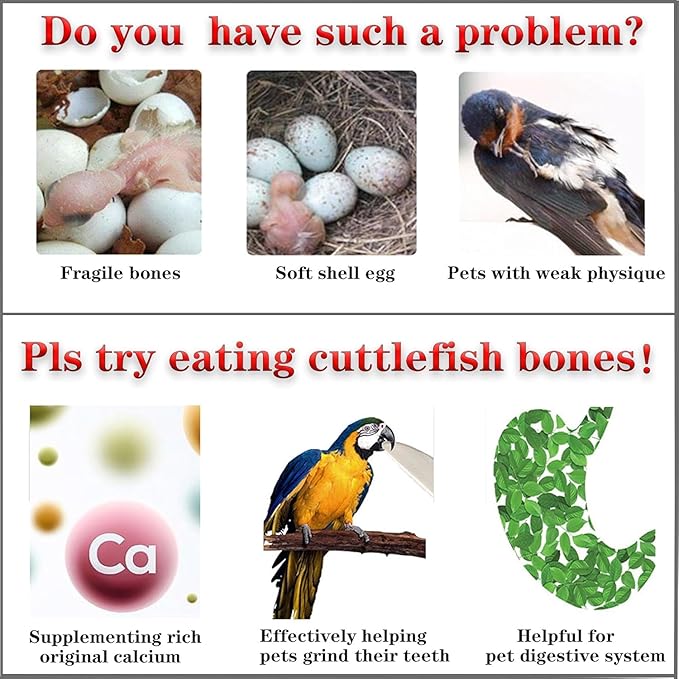 5.5"-7.1" inches Large Cuttlebone for Birds - 100% Natural Cuttlefish Bone Bulk Chew Toy Bird Bites Calcium Stone for Canaries Tortoises,Snails,Reptiles,Parrots,Cockatiel -3pcs