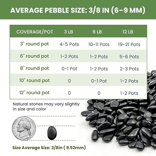 3/8-Inch Plant Decorative Gravel-12 Pounds Natural Black Decorative Pebbles | Smooth and Round, Black and Shiny, Scratch Resistant and Wear-Resistant, Natural Raw Stone