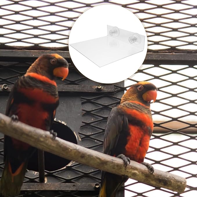 HANABASS Suction Cup Parrot Stand Platform Portable Acrylic Bird Perch for Windows Showers and Walls Flat Bird Stand for Small to Medium Parrots Parakeets Cockatoos and Macaws