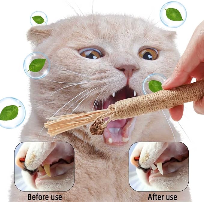 4 Pack Natural Silvervine Sticks for Cats - Chew Toys for Kittens Teeth Cleaning, Catnip Toy, Teething Stick - Interactive Kitten Toys for Indoor Cats Dental Care
