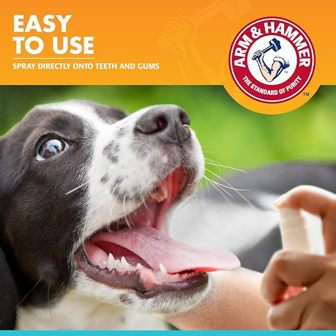 Arm & Hammer for Pets Dog Oral Care Spray, Mint Flavor Breath Freshener with Baking Soda for Brushless Plaque and Tartar Support, Easy Daily Dental Maintenance for Adult Dogs, 4 Fl Oz - 2 Pack