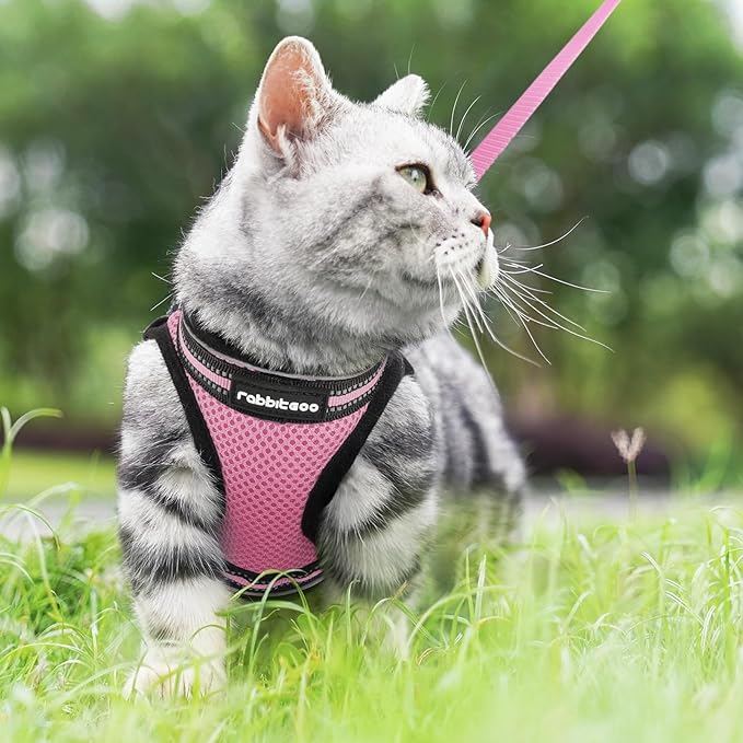 rabbitgoo Cat Harness and Leash Set for Walking Escape Proof, Adjustable Soft Kittens Vest with Reflective Strip for Cats, Comfortable Outdoor Vest, Pink, M