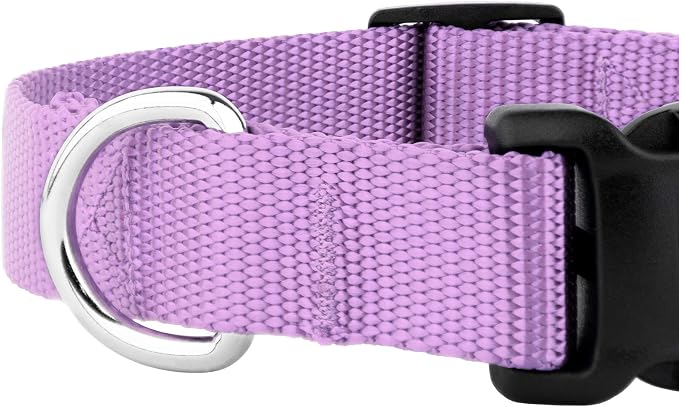 Country Brook Petz - Everyday Nylon Dog Collar and Leash - 10+ Cool Colors (3/4 Inch, Small, Lavender)