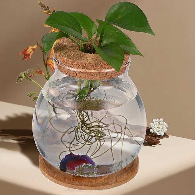Beavorty Desktop Fish Tank Small Glass Fish Bowl with Cushion 5.51X5.11X1.18In Hydroponic Plant Terrarium Betta Bowl for Home Office Decoration