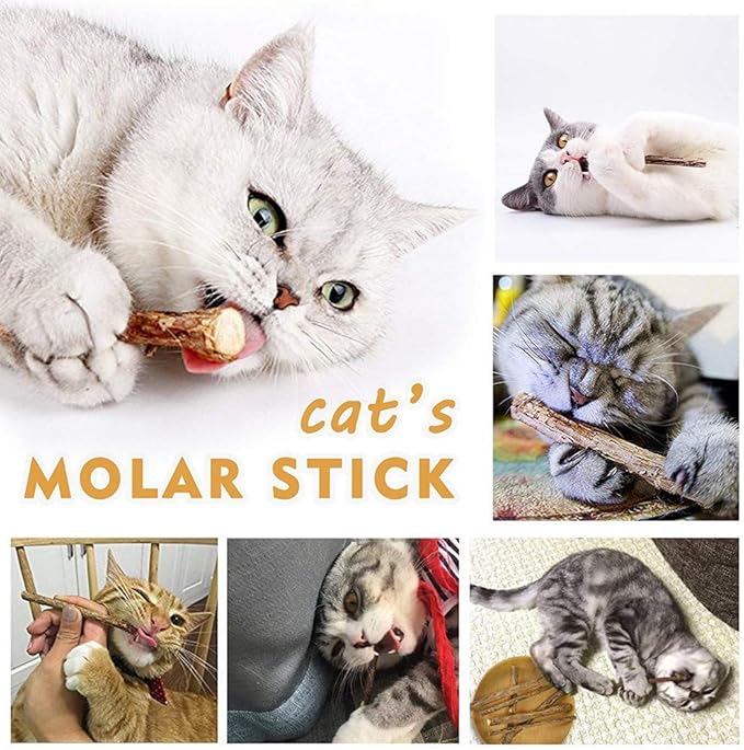 WoLover 10 PCS Cat Catnip Sticks, Natural Matatabi Silvervine Sticks - Cleaning Teeth Molar Tools Kitten Chew Toy Natural Catnip Cats Toy