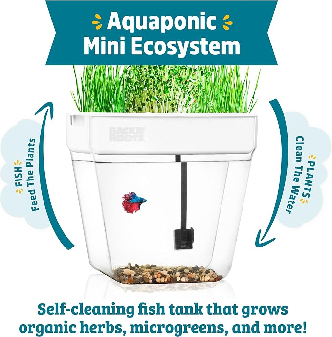 Back to the Roots Indoor Aquaponic Garden - 3 Gallon Self Watering, Mess-Free Planter and Self-Cleaning Fishtank for Herbs, Microgreens, Bamboo, Succulents, and Houseplants, support Fish