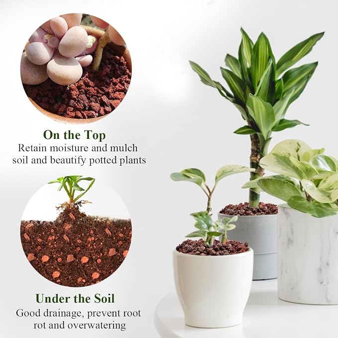 FANTIAN 2 lbs Red Lava Rock for Plants, 5-8 mm Horticultural Volcanic Rock | Natural Pumice Gravel, Succulent Cactus Soil Potting Mix, Soil Drainage, Fire Pits, Outdoor Garden, Safe for Aquarium