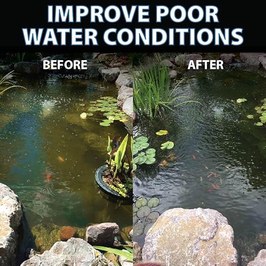 CrystalClear PondShock Ball Freshwater Clarifier, Enzymes Shock Treatment | Natural Live Bacteria Muck & Sludge Remover for Small Outdoor Water Garden Ponds. Koi Fish & Aquatic Plants Safe
