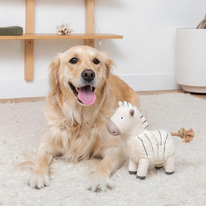 Fringe Studio Earned My Stripes 3D Earth Friendly Dog Toy, PetShop Collection (718011)