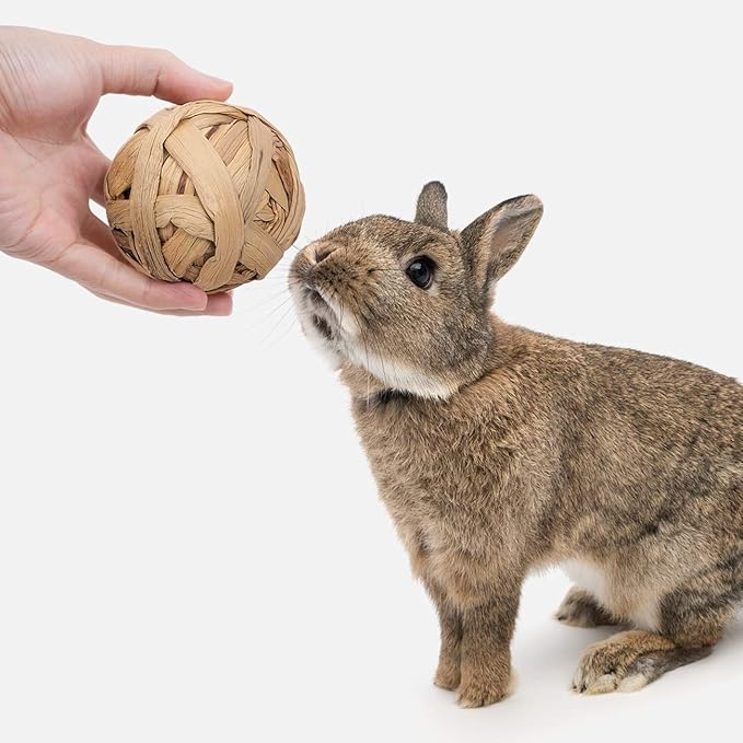 Niteangel Small Animal Activity Toy, Fun Pet Balls for Chinchilla Guinea Pig Rats Rabbits Hamster Gerbil Degu Bunny and Other Small Animals