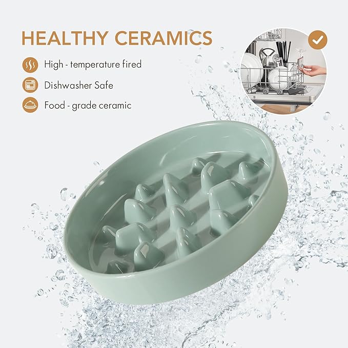 Havniva Ceramic 1.6 Cup Dog Bowl Slow Feeder, 8.2 inch Slow Pet Food Dish for Medium and Large Dog, Stop Bloat, Preventing Choking(Single Bowl, Light Green)