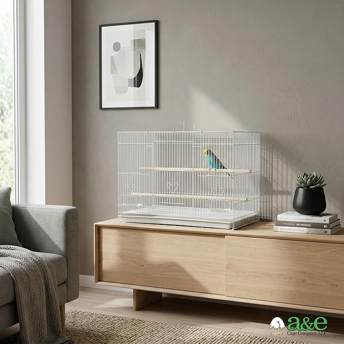 A&E Cage Co 503 White SP Flight Bird Cage – 24" x 16" x 16" Small Bird Cage for Finches, Canaries & Parakeets – Includes 2 Feeder Stations, Wood Perch, Slide-Out Tray & Carry Handle (White)