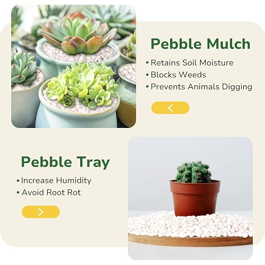 GreatBuddy 10-lb Decorative Rocks for Indoor Plants, 3/8" White Pebbles, Small Rocks for Potted Plants, Succulent, Vases, Aquariums, Fish Tanks, Garden Landscaping, Natural Polished
