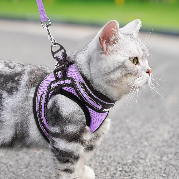 rabbitgoo Cat Harness and Leash Set for Walking Escape Proof, Adjustable Soft Kittens Vest with Reflective Strip for Cats, Comfortable Outdoor Vest, Light Purple, M