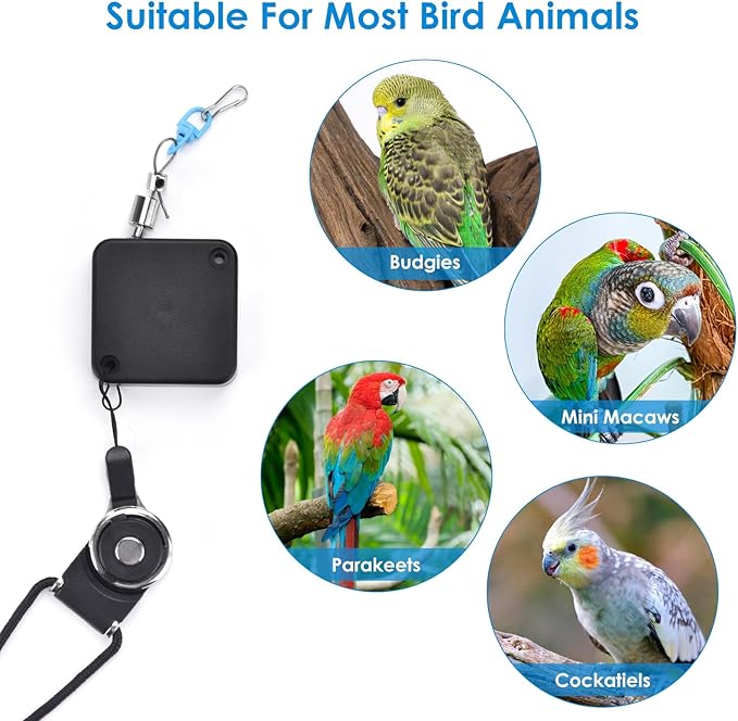 6.6Ft Bird Leash, with 13 Different Size Foot Ring Retractable Anti-Bite Parrot Harness, Bird Flight Training Rope for Budgies,Cockatiels,Psittacula Longicauda,Mini Macaws（Luxury Gold Color）