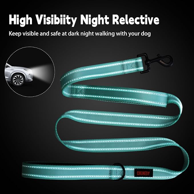 Heavy Duty Dog Leash With Double Handle - Reflective Training Lead for Medium to Large Breeds (5FT, Lake Blue)