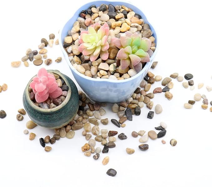 Mixed Color Rocks for Plants & Planters, Decorative Pebbles, 1/5", 2 lb