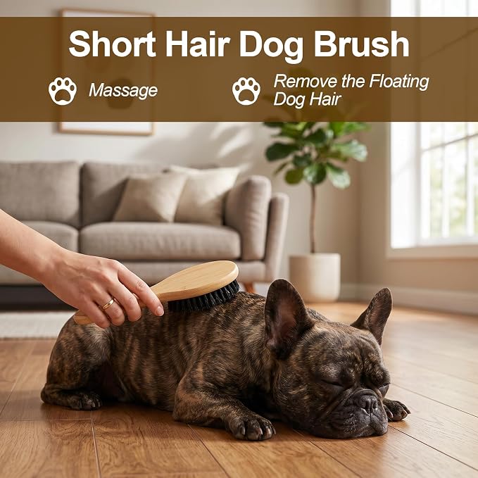 YUXIANLB Boar Bristle Pet Brush with Wood Handle, Soft Brush for Short Hair | Soft Cat and Dog Daily Grooming Tool for Short Hair Cats Small Dogs Gentle Massage Dandruff Removal