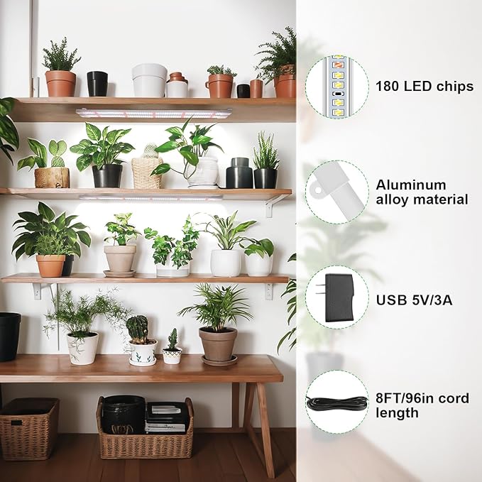 Wiaxulay LED Plant Grow Light Strips, 6000K White Grow Lights for Indoor Plants Full Spectrum, 3 Bars/16 in Grow Lamp with 6/12/16 Hrs Timer, 5 Brightness for Green House, Hydroponics, Seed Starting | 3 Bars 1 Pack, 6000K Growing Lamp with 3 Lighting M...