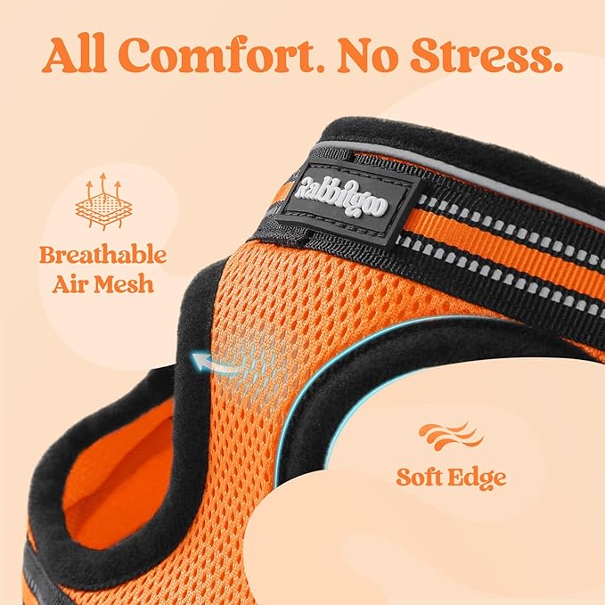 rabbitgoo Cat Harness and Leash Set for Walking Escape Proof, Adjustable Soft Kittens Vest with Reflective Strip for Cats, Comfortable Outdoor Vest,Light Orange,S