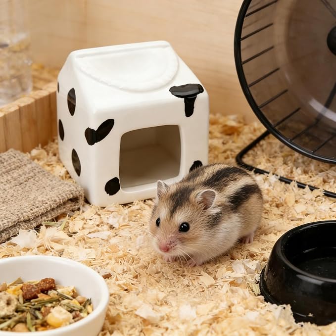 Hypeety Ceramic Hamster Hideout Habitat House for Small Animals Gerbil Dwarf Hamster Mice Cool House for All Season Cute Decor Hut (White)