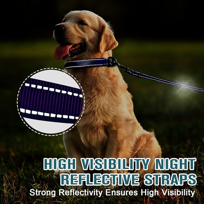 Dog Collar for Medium Small Large Dogs Reflective with Leash,Collar and Leash for Dogs,Soft Neoprene Padded 2 Pack(Purple,L)
